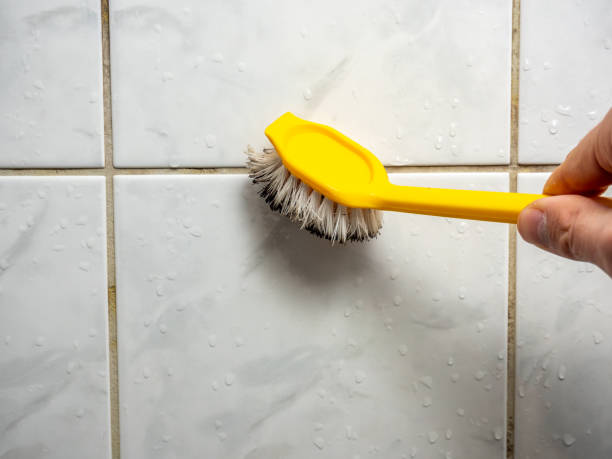Best Mold Remediation for Specific Building Types in Denton, NC