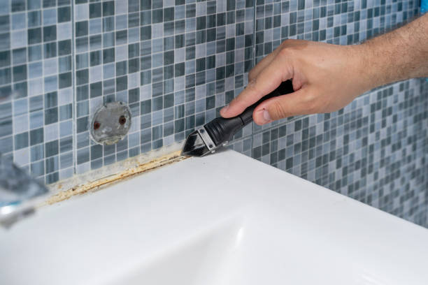 Best Emergency Mold Remediation in Denton, NC